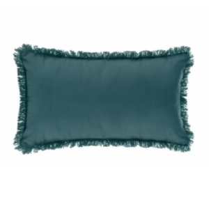 COUSSIN BLEU CANARD