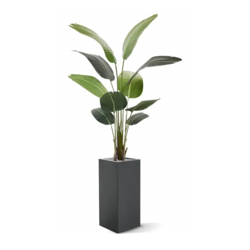 PLANTE ARTIFICIELLE
