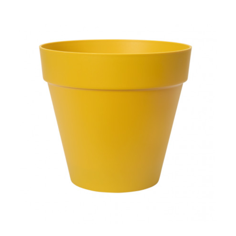 POT JAUNE MOUTARDE