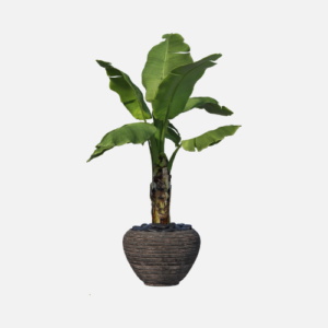 ARCHE HEXAGONALE